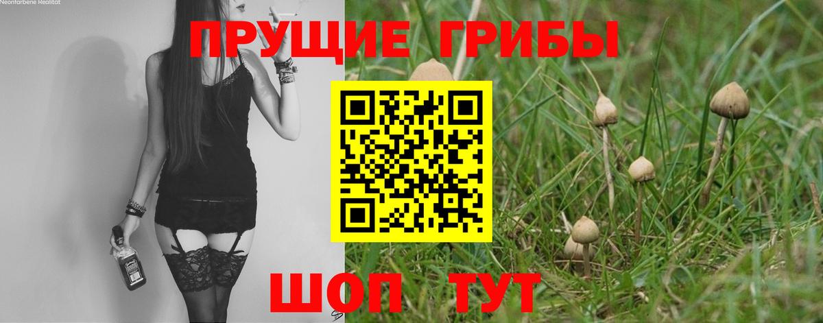 Псилоцибиновые грибы Magic Shrooms  где продают наркотики  Чехов  Вход с VPN 
